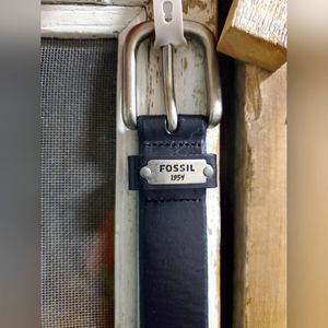 NWT Fossil belt